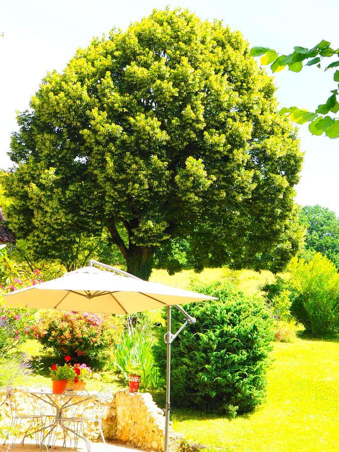 La Belle Verte Grignols  Exteriör bild
