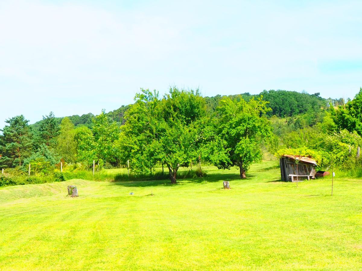 La Belle Verte Grignols  Exteriör bild